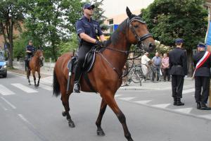 Wojewódzkie obchody Święta Policji w Tomaszowie 